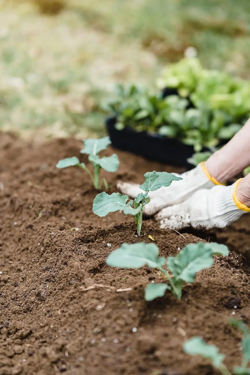 unrecognizable farmer planting sprouts in countryside