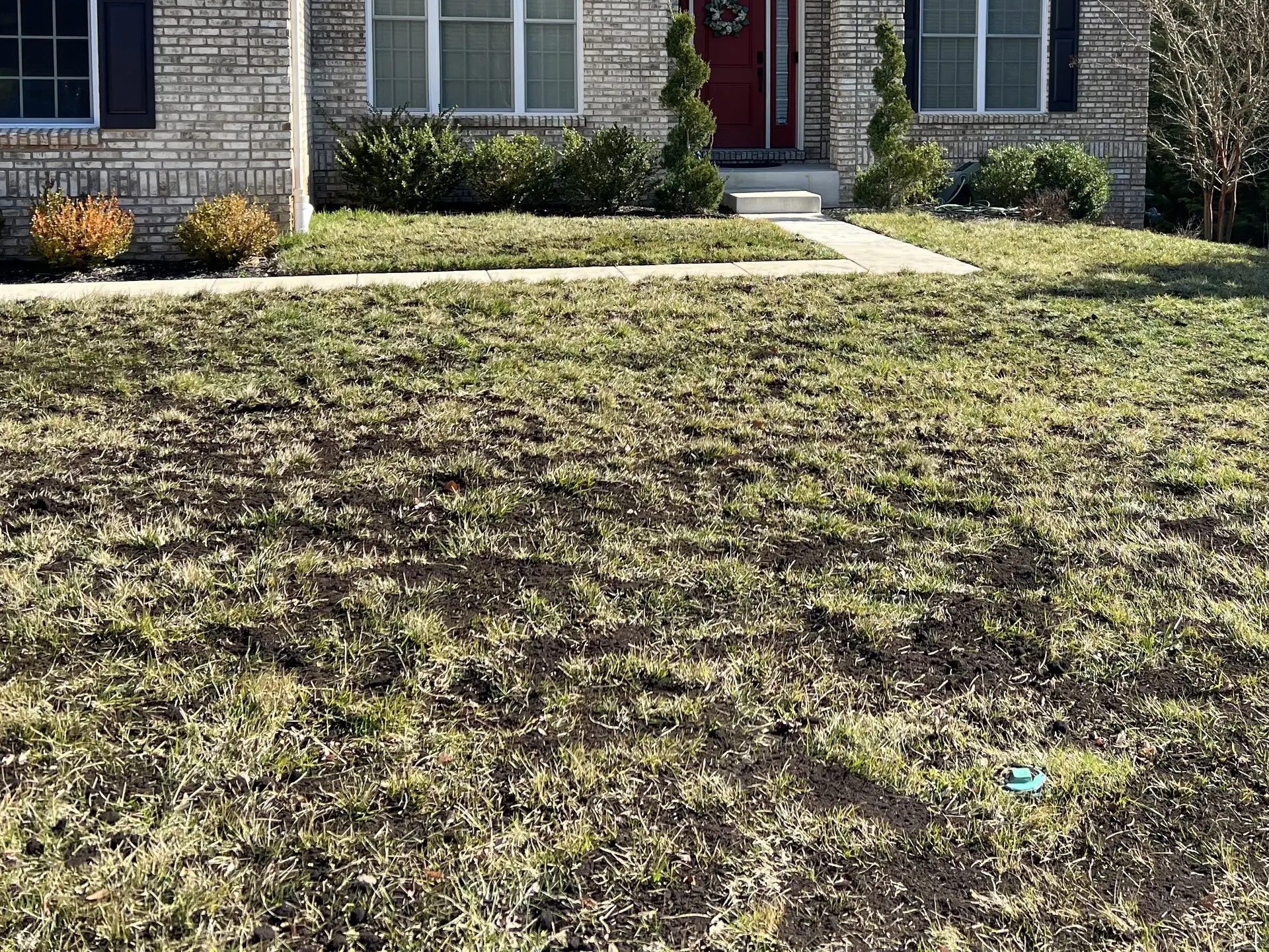 Enhancing Lawn Health and Growth with Compost