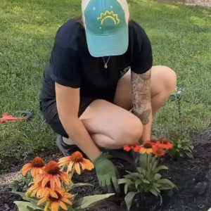 Garden Design and Installation Service in Bel Air MD